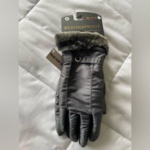 Women The Glove Source